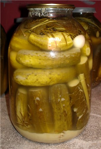Pickled cucumbers with mustard