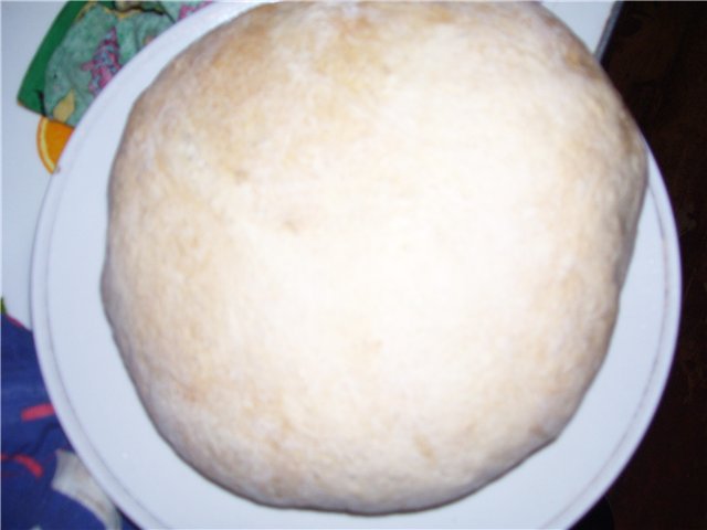 Long-fermented wheat bread (oven)