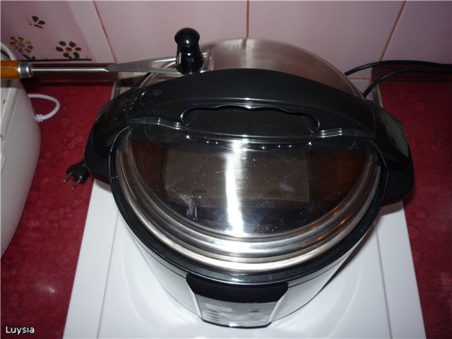Electric smokehouse-pressure cooker Brand 6060