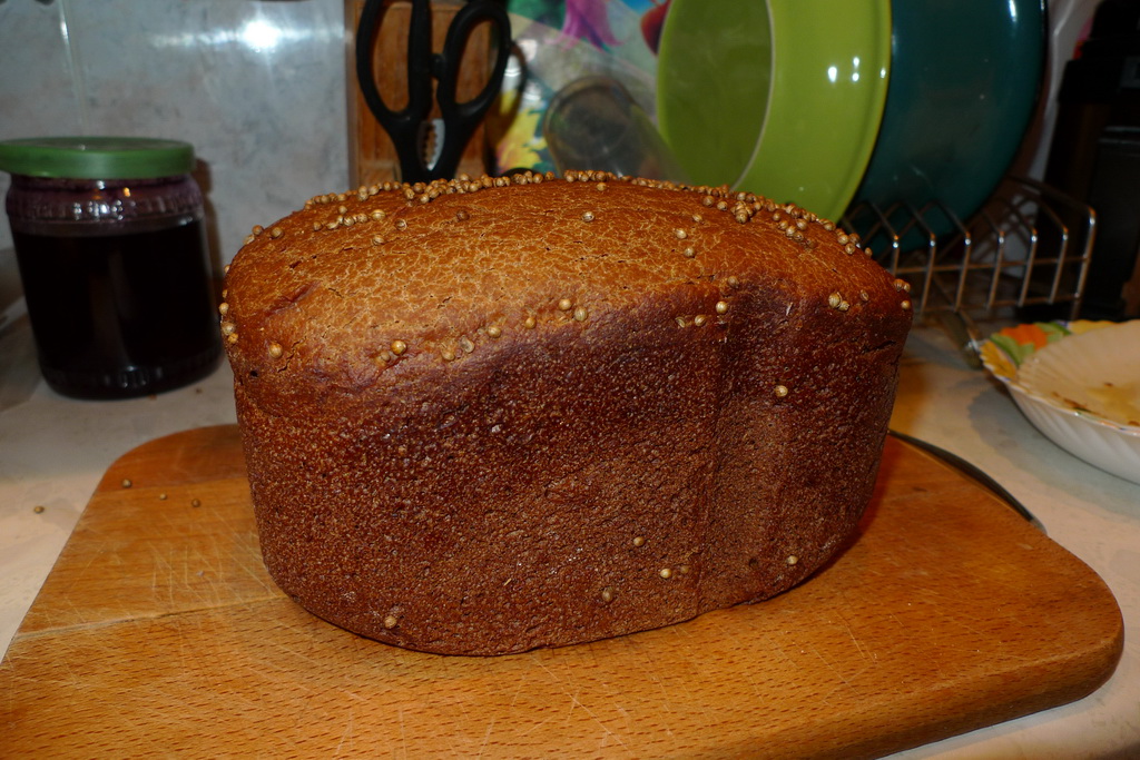 Il mio primo pane Borodino - aiuto!