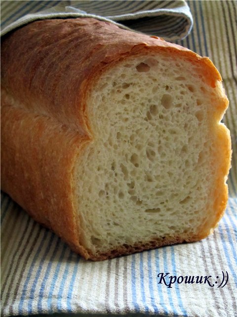 خبز القمح Syabryna في الفرن