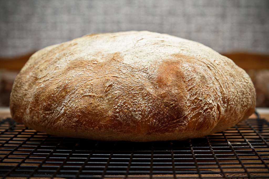 Rustic wheat bread (Pane Bigio) in the oven
