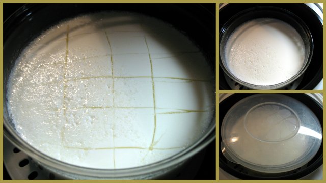 Curd No. 2 in a multicooker Brand 3502