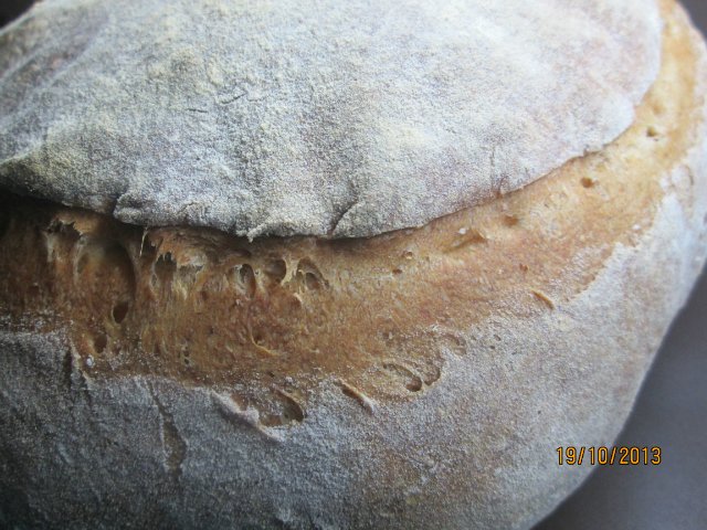 Pan de campo / Pain de campagne (horno)