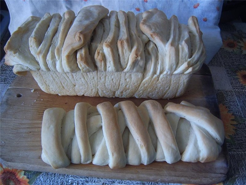 Italian bread Pane al latte Fisarmonica in the oven