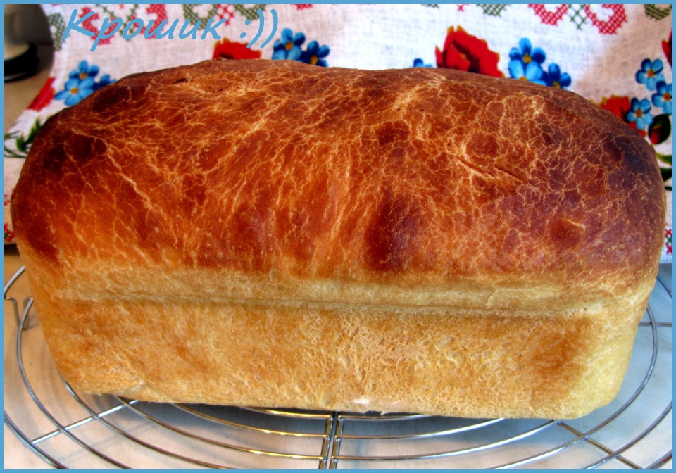 خبز قمح ريفي مصبوب (بدون عجن)