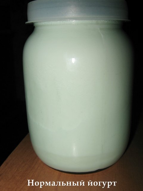 Yogur con cultivos iniciadores bacterianos (narine, Vivo, etc.)