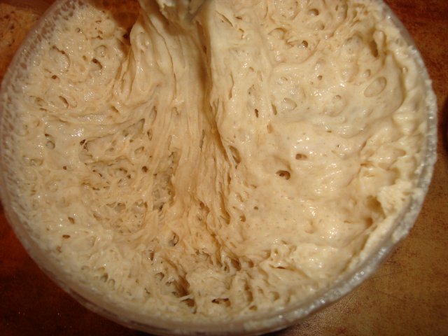 Pasta madre tradizionale francese (densa)