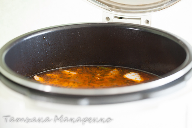 Salmon soup in pressure cooker Brand 6051