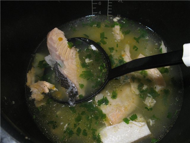 Sopa de salmón (Cuco 1054)