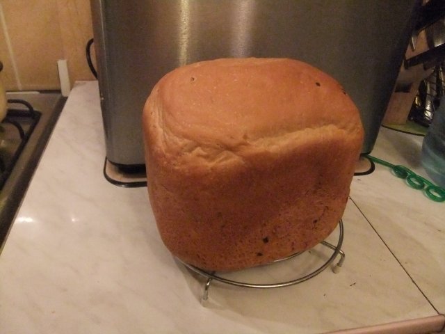 Pane alla cipolla bianca in una macchina per il pane