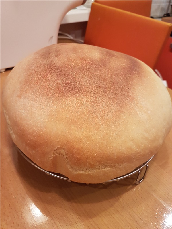 לחם חיטה עם סולת T (DeLonghi FH1394 / TM31 רב תנור)