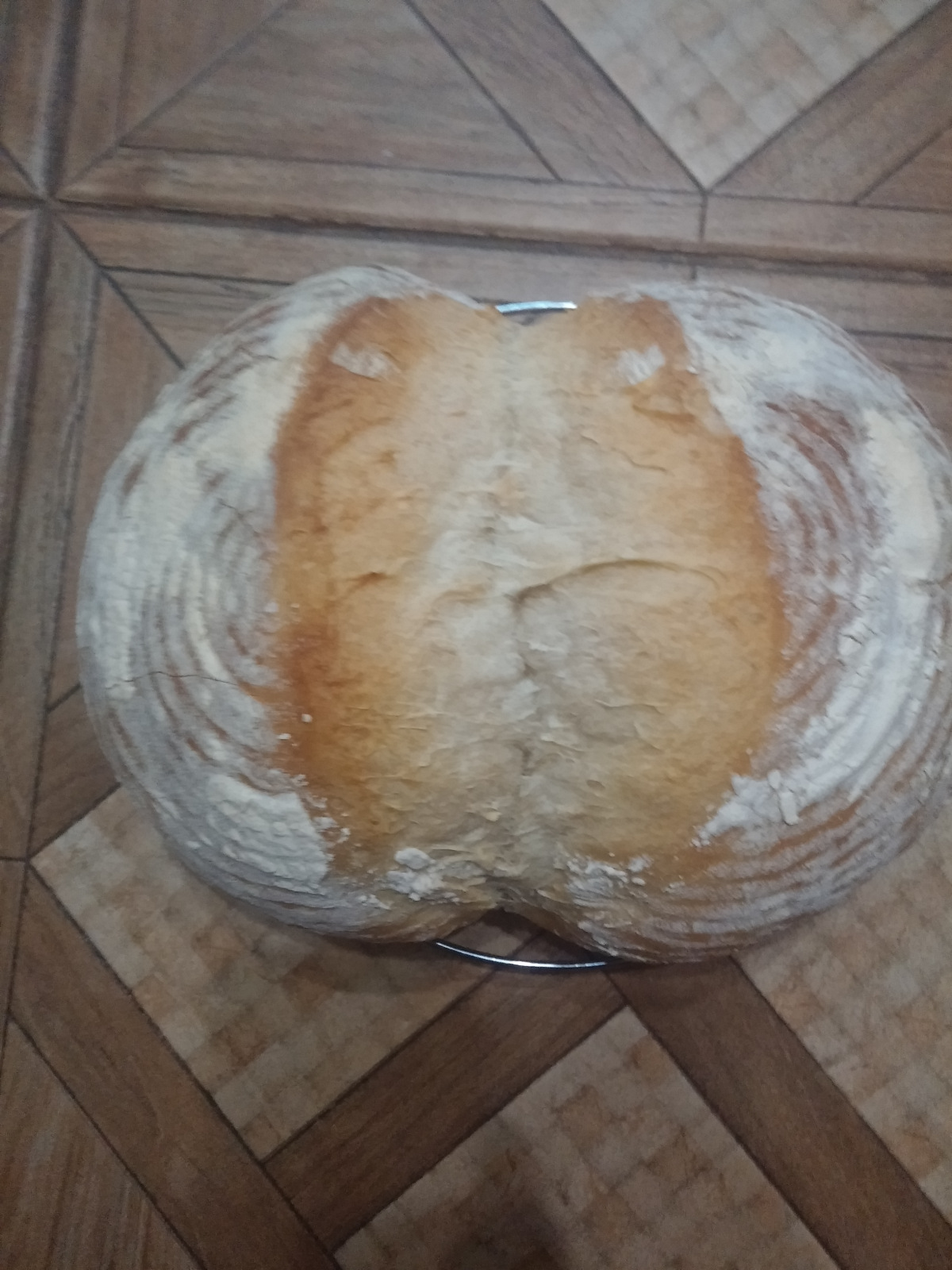 Lucerne bread