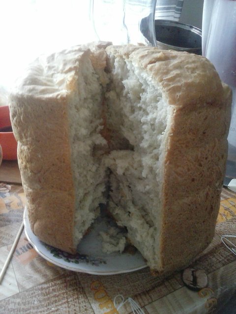 Kefir brood (broodbakmachine)