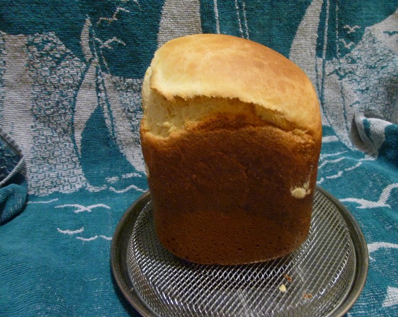 Viennese Bread (Pain viennois) autorstwa Richarda Bertine'a (w piekarniku)
