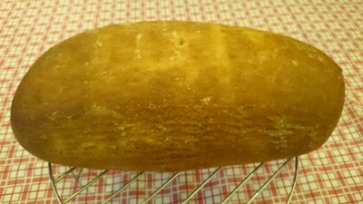 Belga búza kenyér (sütő)