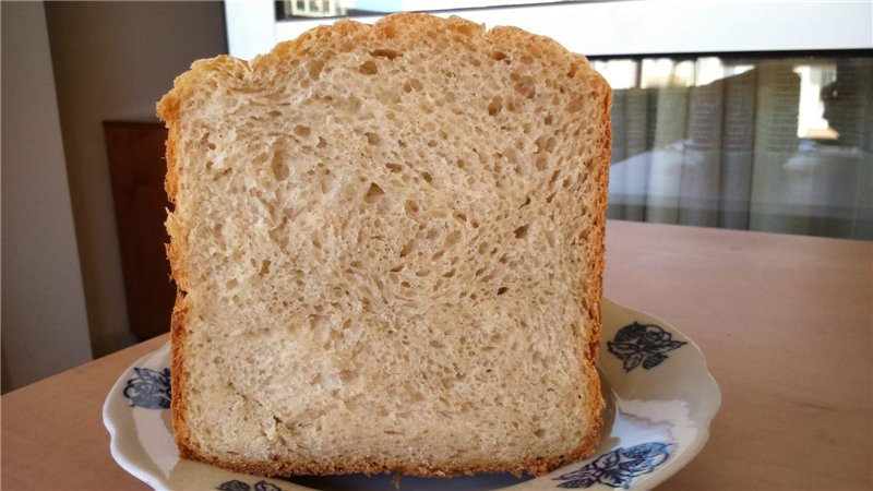 יצרנית הלחם סאוטר 106401
