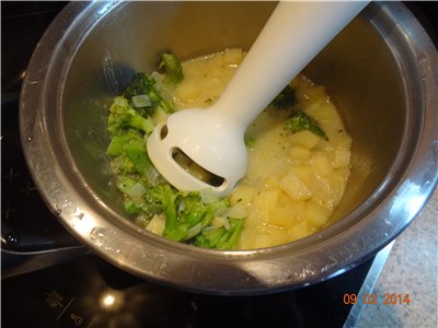 Broccolipuree soep in REDMOND RMC-02