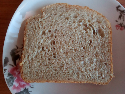 باناسونيك SD 255. خبز أوزينسكايا