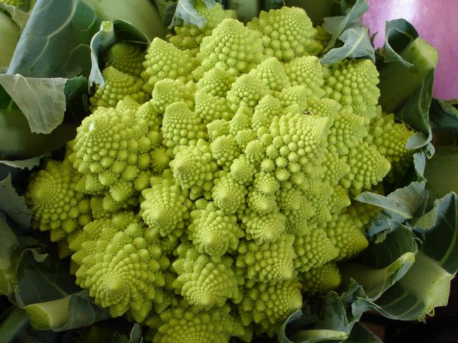 Romanesco cabbage (or cauliflower) and durum coils with cheese in Bork U700