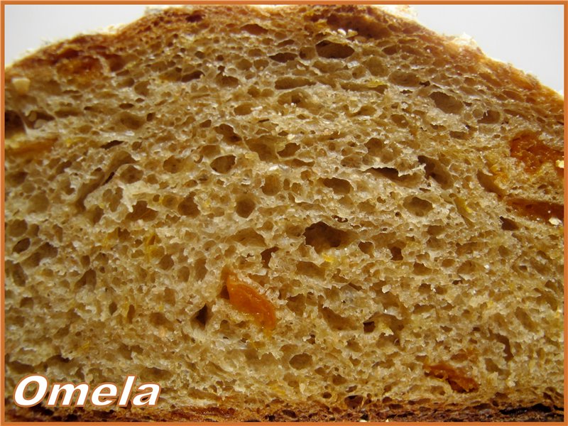 Teljes kiőrlésű kenyér zabpehellyel és szárított barackkal (R. Bertine)