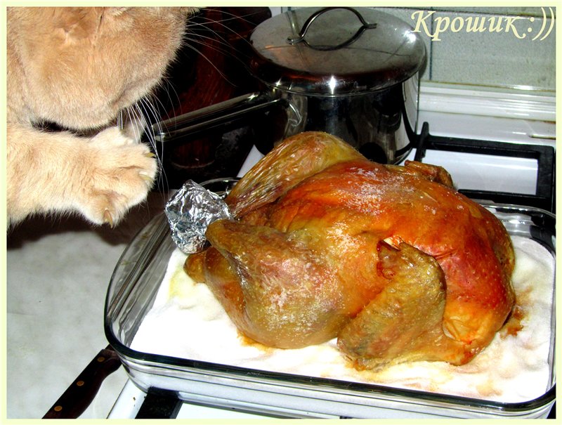 Chicken in the oven (minus ten)
