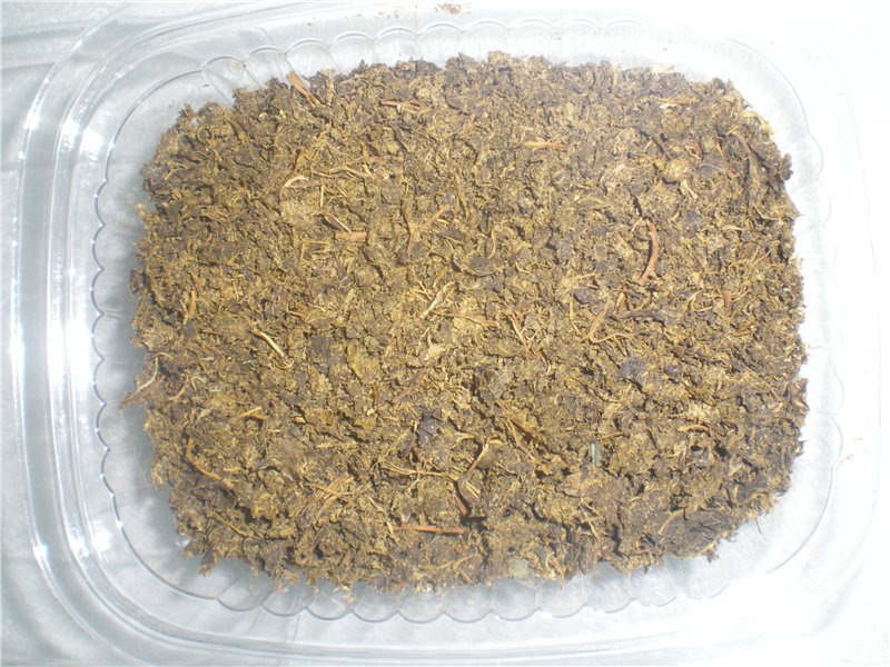 תה מותסס עשוי עלים של גינה וצמחי בר (כיתת אמן)