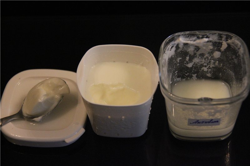 Máquina de yogur: elección, revisiones, cuestiones de funcionamiento (2)