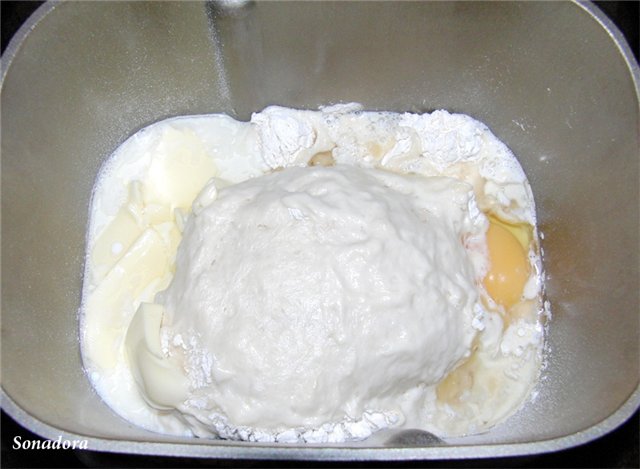 Panasonic SD-255. White milk bread on a dough