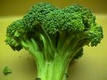 Zapiekanka z brokułów