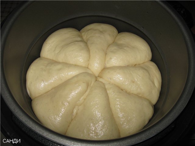 Buns in the Comfort Fy 500 pressure cooker