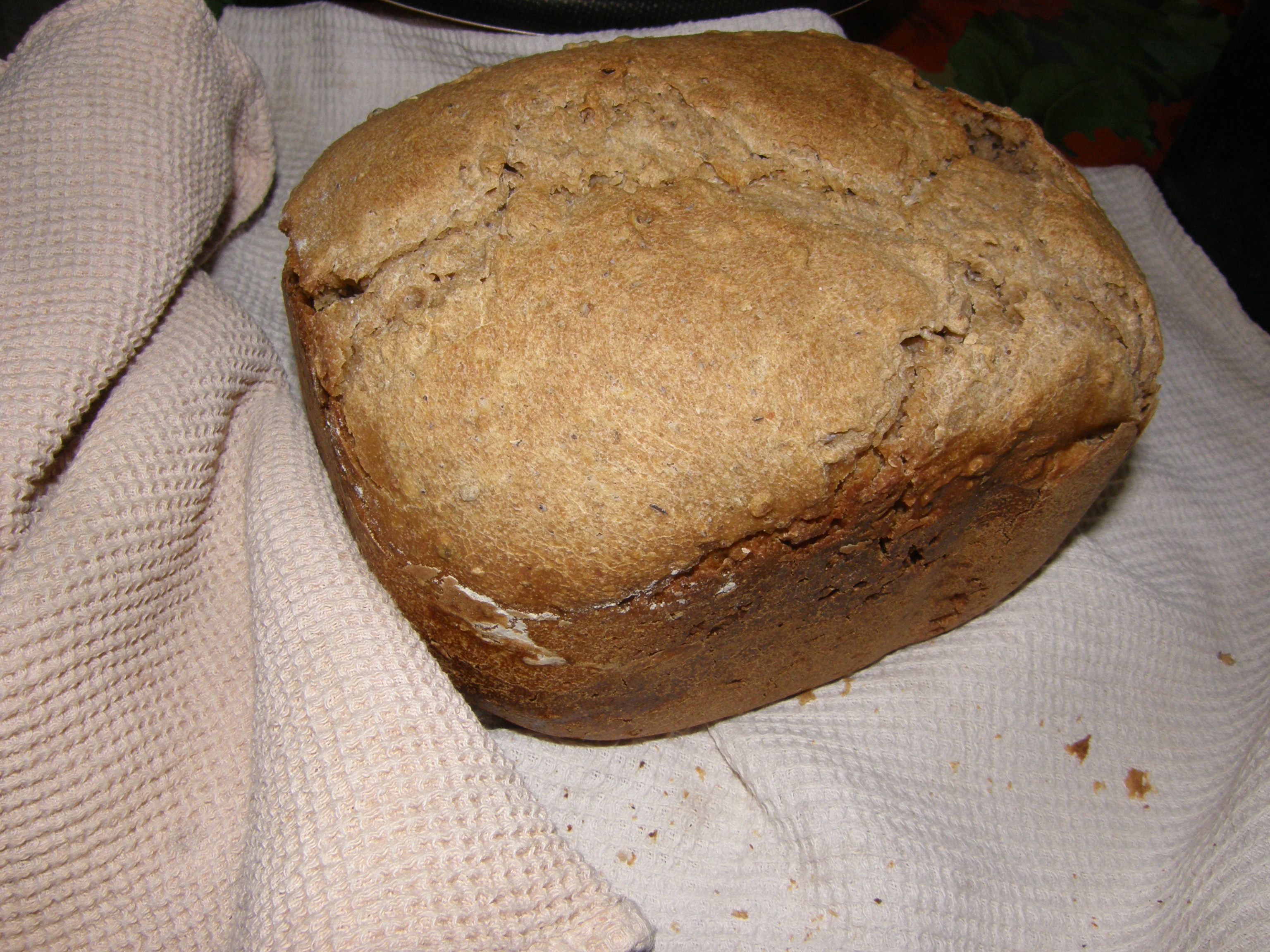 Pan de centeno y trigo con lentejas y cilantro.