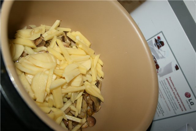 Forest mushroom soup in Brand 6050 pressure cooker