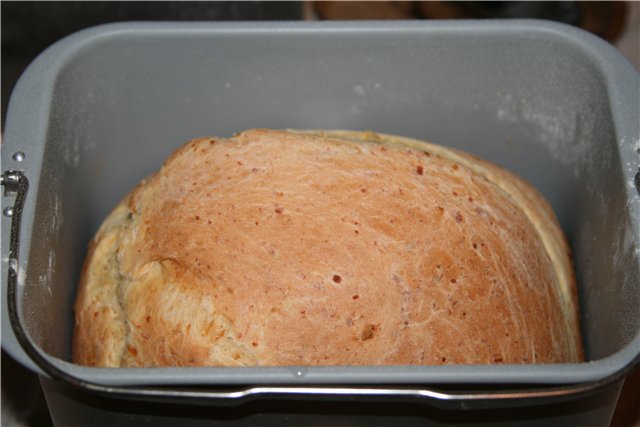 Bread maker Bork X800