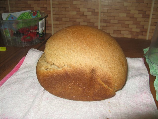 ORION-24W. לחם דרניצקי