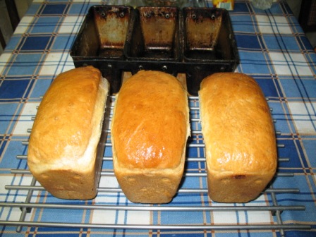 Old fashioned yeast bread (oven)
