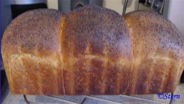 לחם חיטה מבושל (תנור)