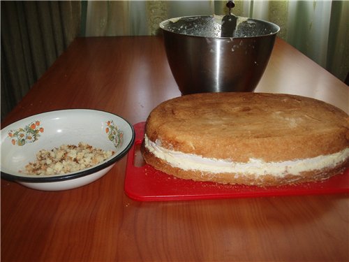 Cortar la galleta en tartas y nivelar la tarta