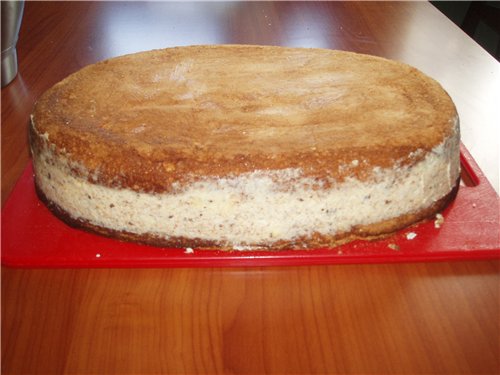 חיתוך הביסקוויט לעוגות ופילוס העוגה