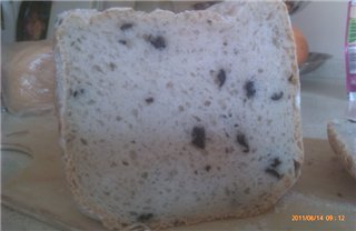 Broodbrood uit de pan (oven)