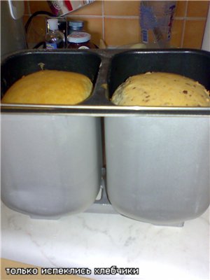 Sütő egy nagy vagy két kenyér sütéséhez