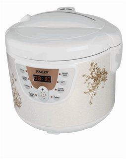 Een slowcooker, rijstkoker kiezen (1)