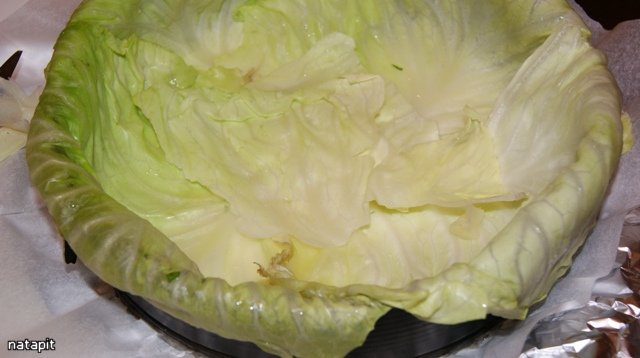 Cabbage Pie Sloth