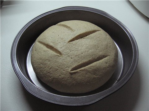 Pan de masa madre en el horno