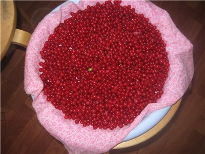 Pastila van een mengsel van bessen (rode en zwarte bes + frambozen)