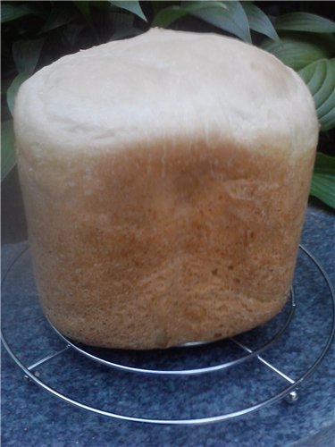 Aardappelbrood op soezendeeg in een broodbakmachine