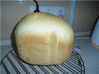 Chleb tostowy w wypiekaczu do chleba