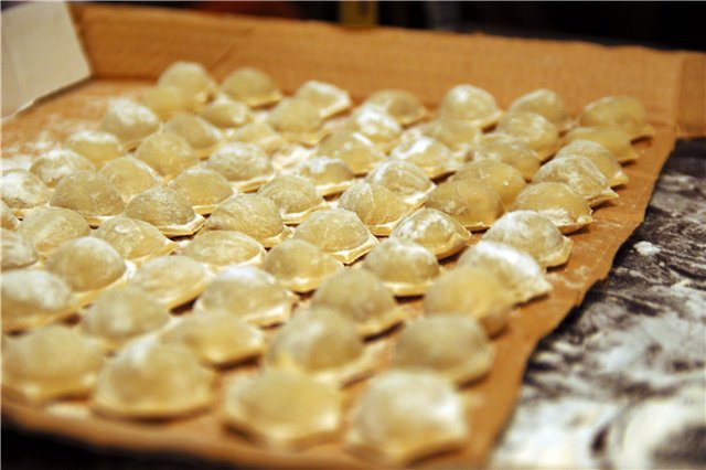 Dough sheeter: electrification and features of home-made dumplings