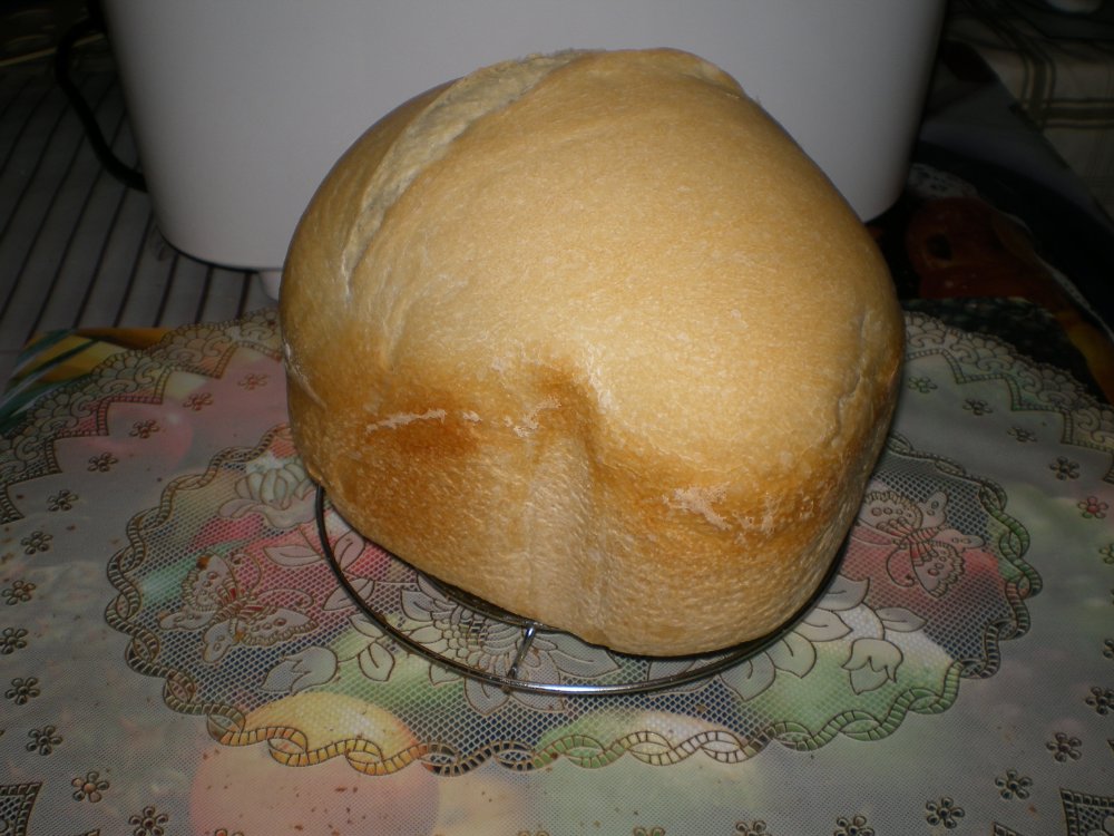 Panasonic SD-2501. Simple bread.