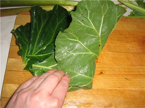 Cabbage rolls in rhubarb leaves